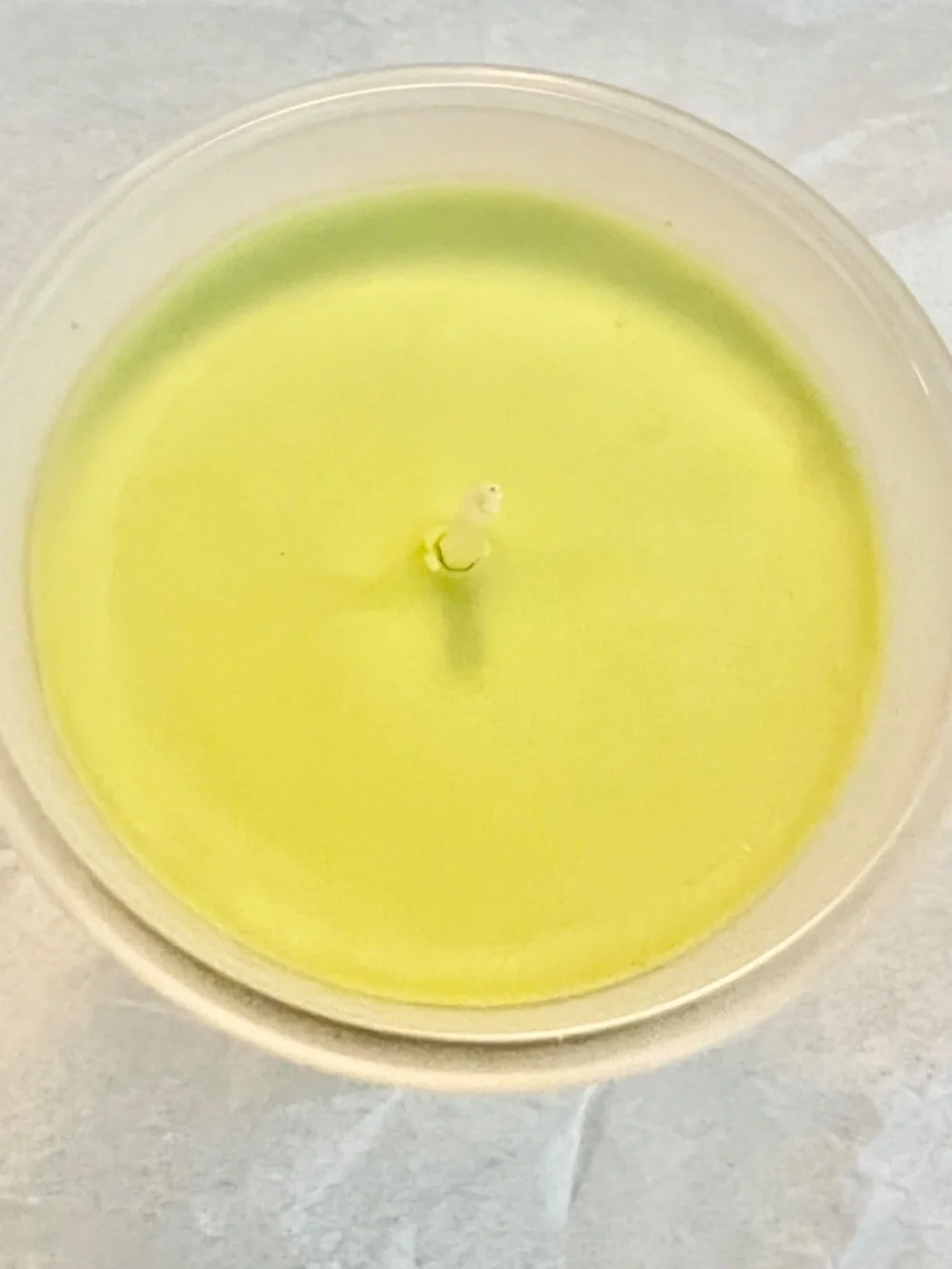 Matcha Scented Candle Brand New